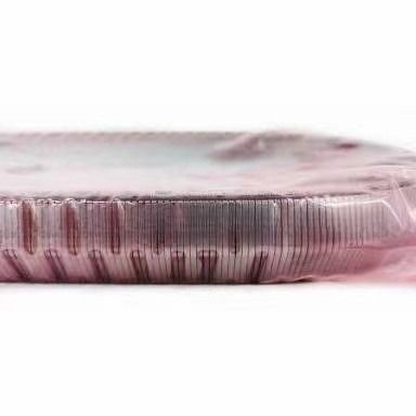 2KG JF017E RE0F10D গিয়ারবক্স বেল্ট চেইন TEANA এক্স ট্রেইল QASHQAI 901074 901089 901096 এর জন্য